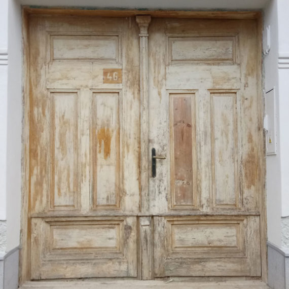 Domovní vrata-původní stav 2